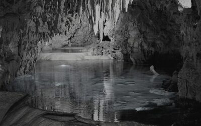 Droit de préemption pour la préservation des ressources en eau