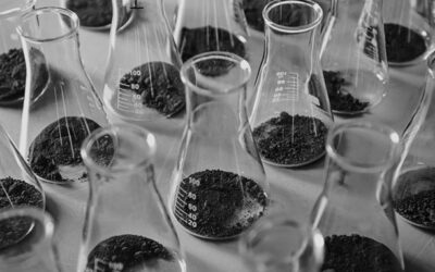 L’évolution des clauses environnementales